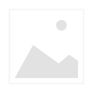 Firmenservice